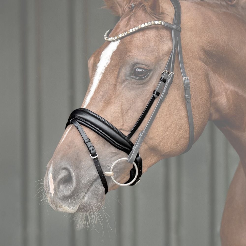 Reithalfter Trensenzaum Ravenna