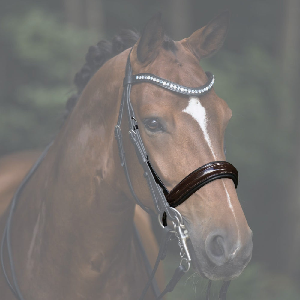 Reithalfter Kandarenzaum Ravenna