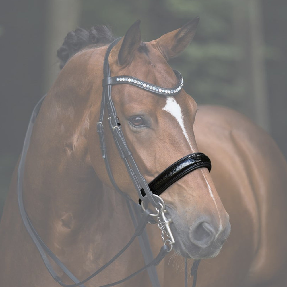 Reithalfter Kandarenzaum Ravenna