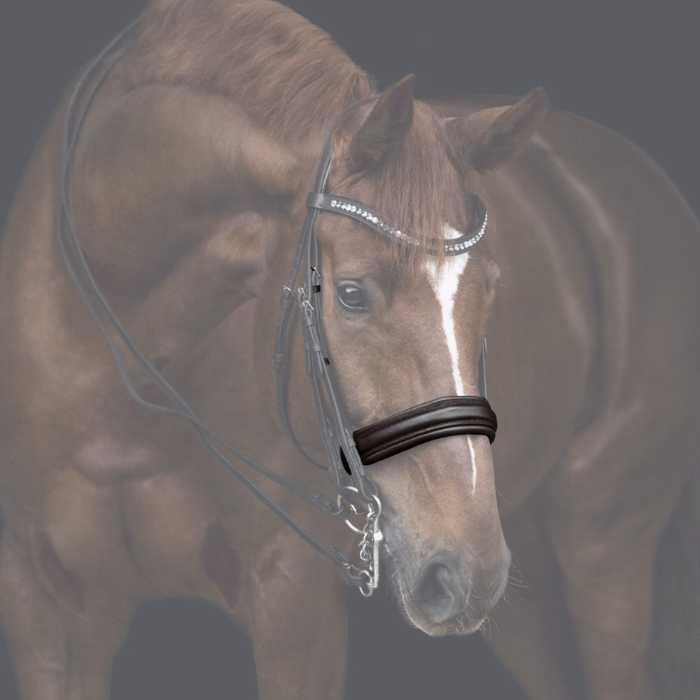 Reithalfter Kandarenzaum Ravenna