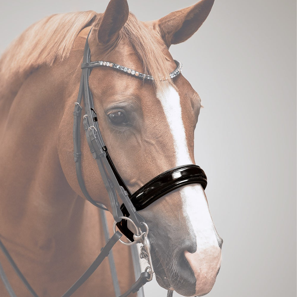 Reithalfter Kandarenzaum Ravenna