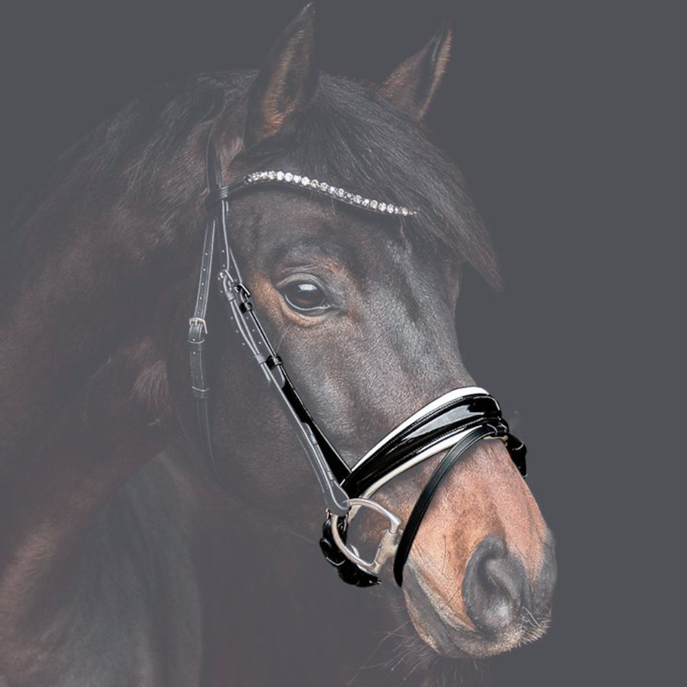 Reithalfter Trensenzaum Rosano