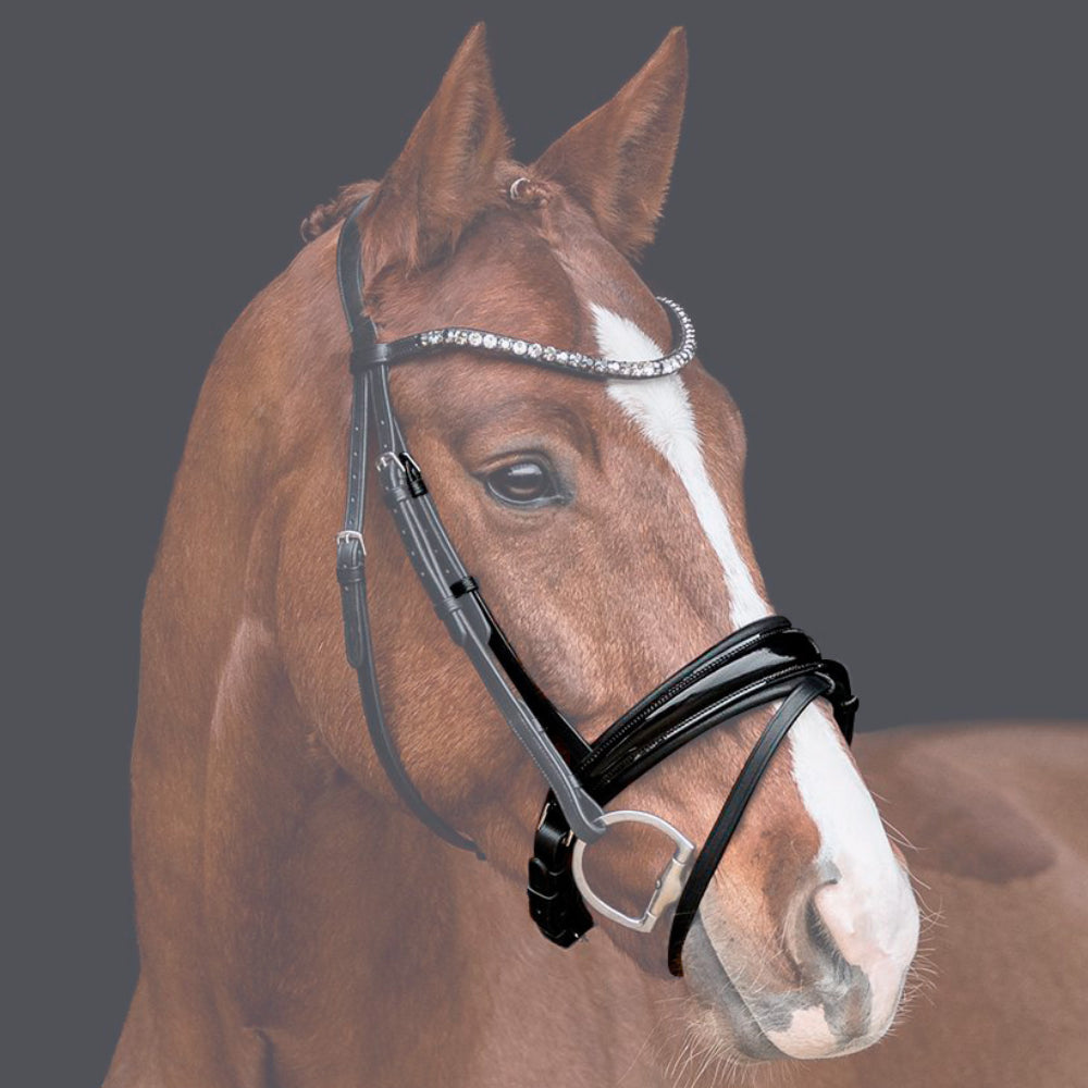 Reithalfter Trensenzaum Rosano