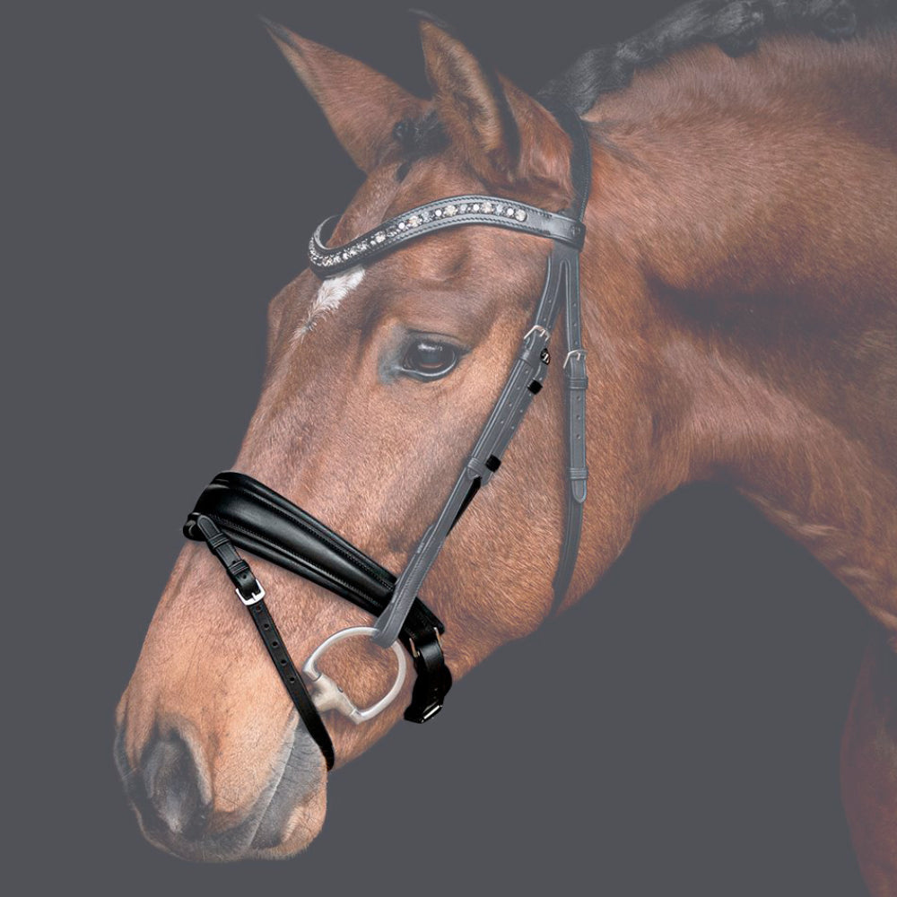 Reithalfter Trensenzaum Rosano