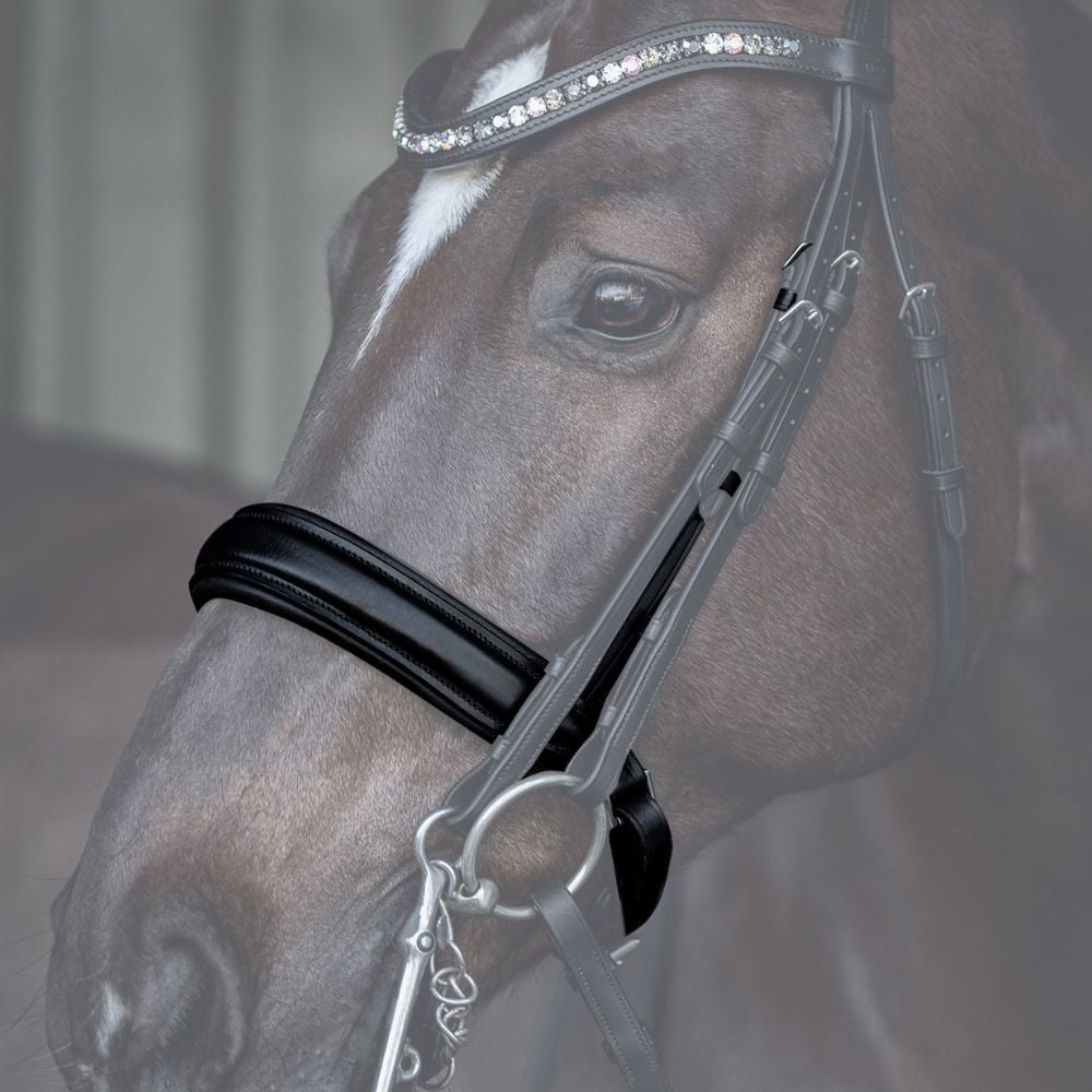 Reithalfter Kandarenzaum Ravenna