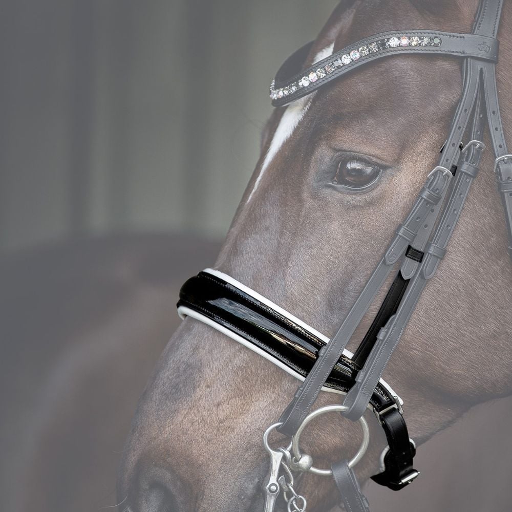 Reithalfter Kandarenzaum Ravenna