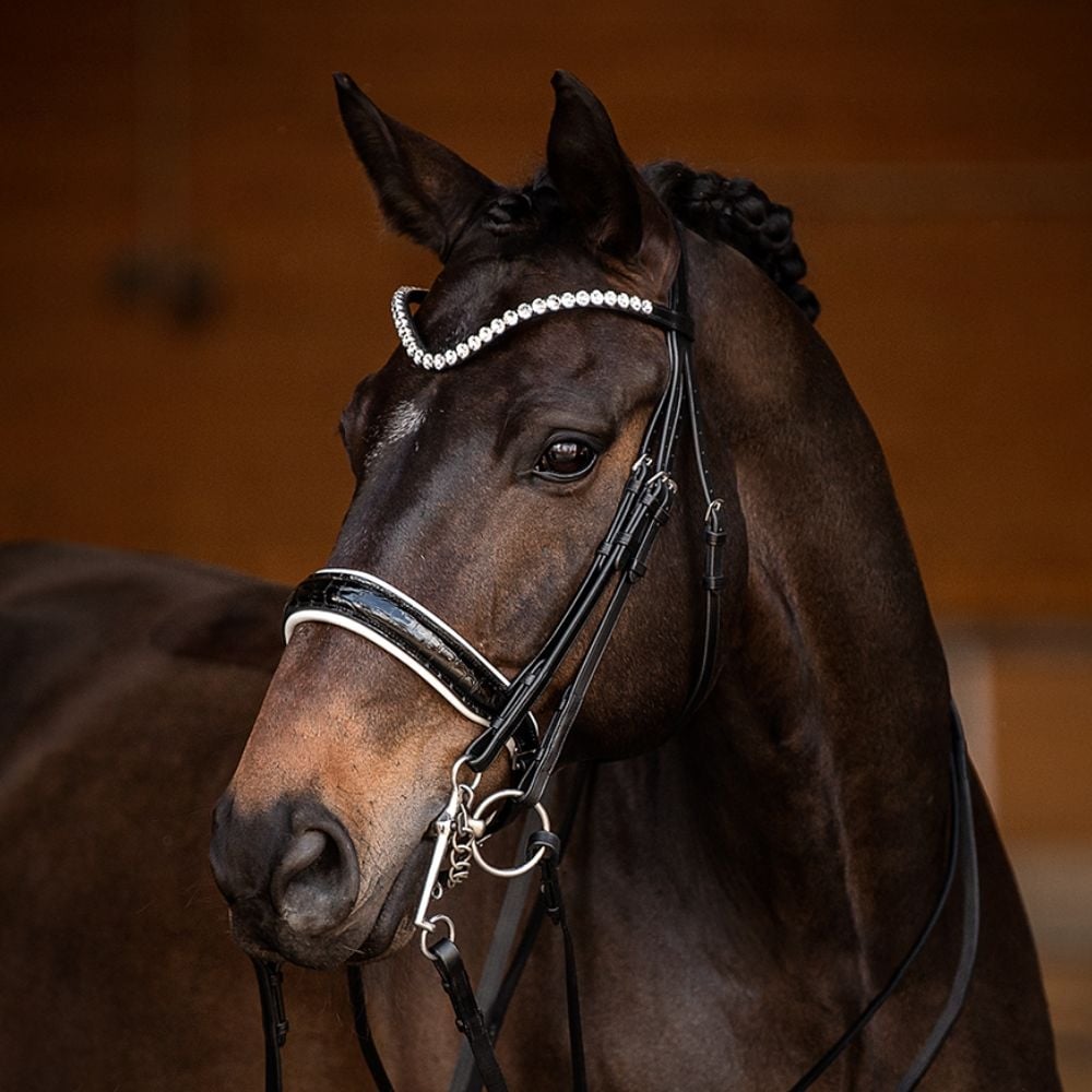 Reithalfter Kandarenzaum Ravenna