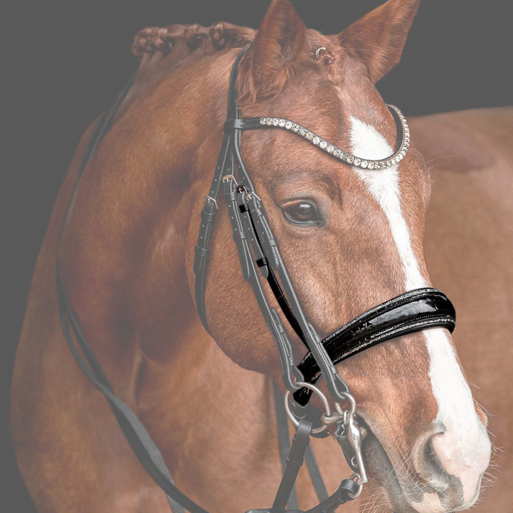 Reithalfter Kandarenzaum Riva