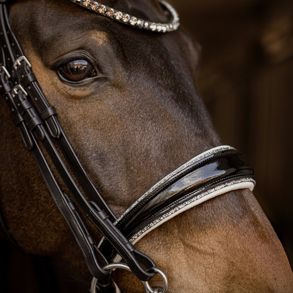 Reithalfter Kandarenzaum Riva