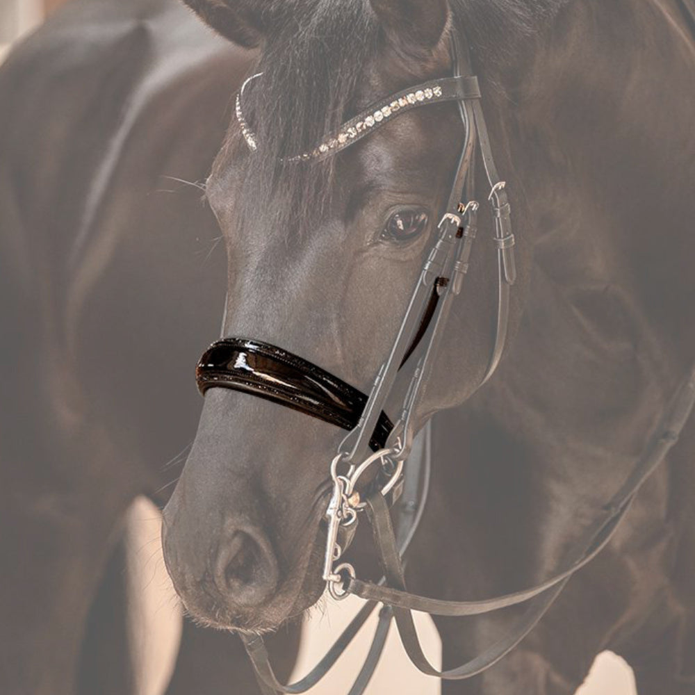 Reithalfter Kandarenzaum Riva