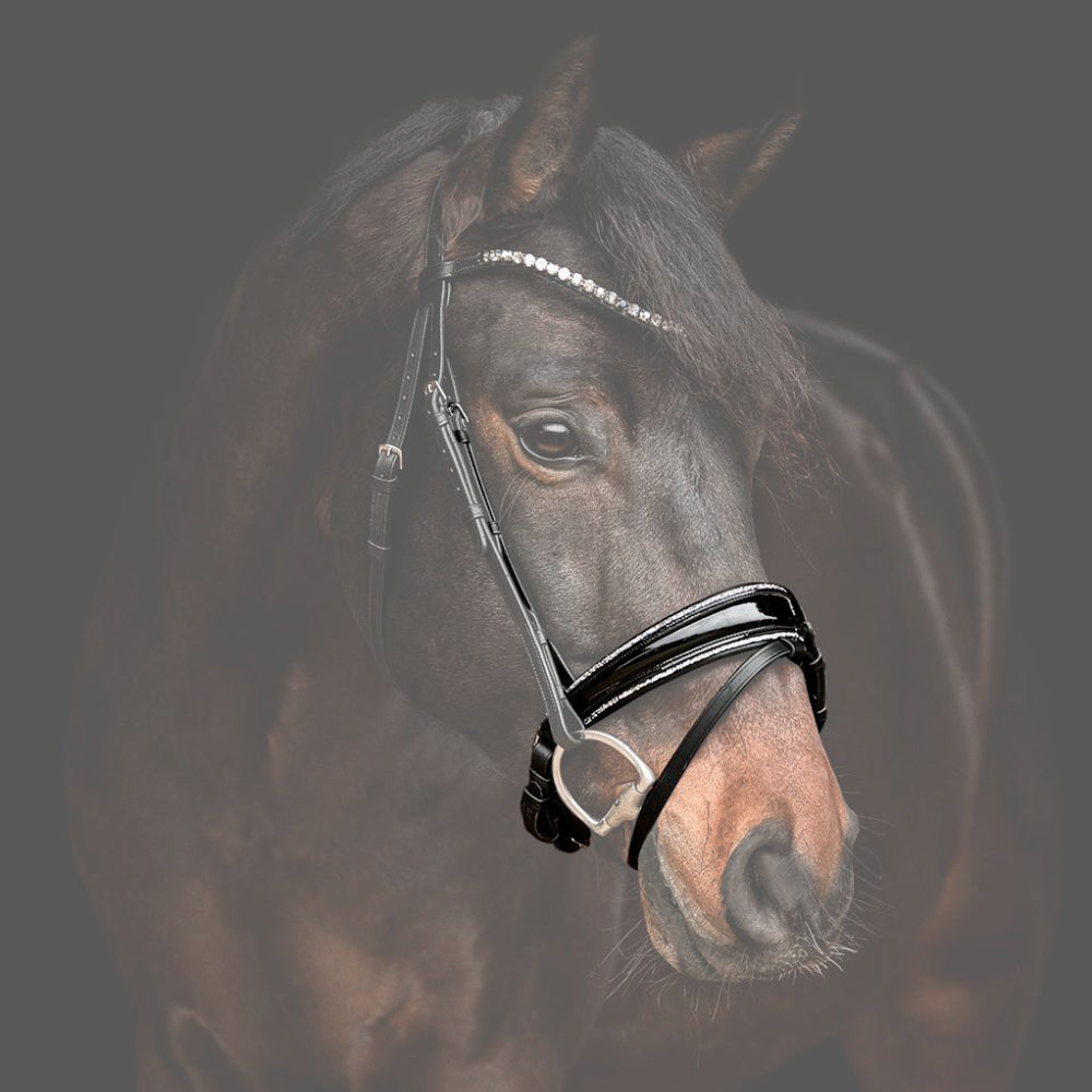 Reithalfter Trensenzaum Riva