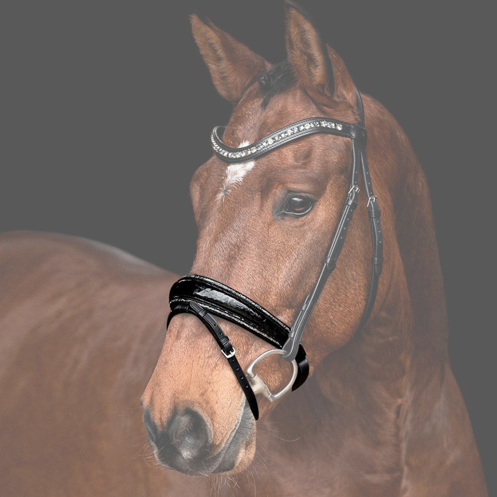 Reithalfter Trensenzaum Riva