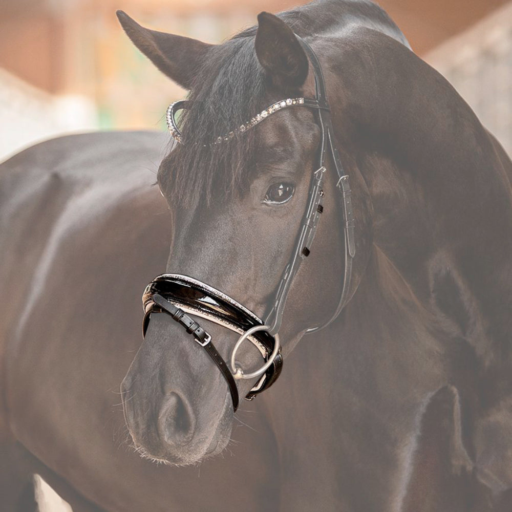 Reithalfter Trensenzaum Riva