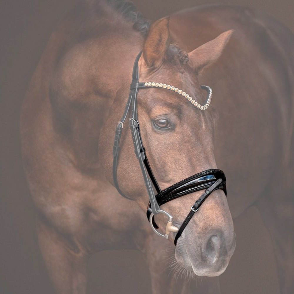 Reithalfter Trensenzaum Riva