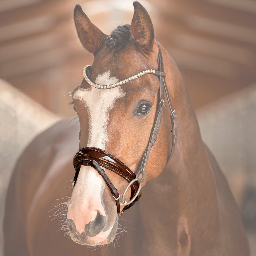 Reithalfter Trensenzaum Riva