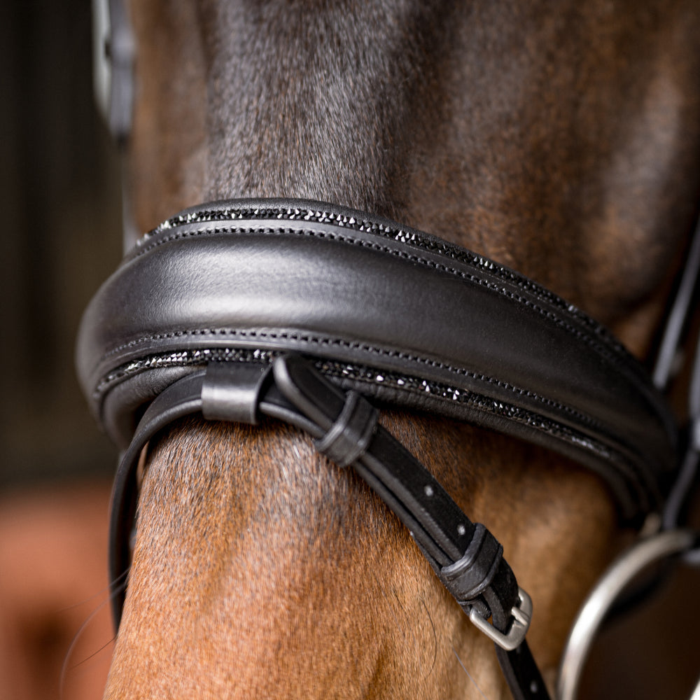 Reithalfter Trensenzaum Riva