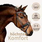 Trensenzaum Rosano mit Wunschstirnriemen