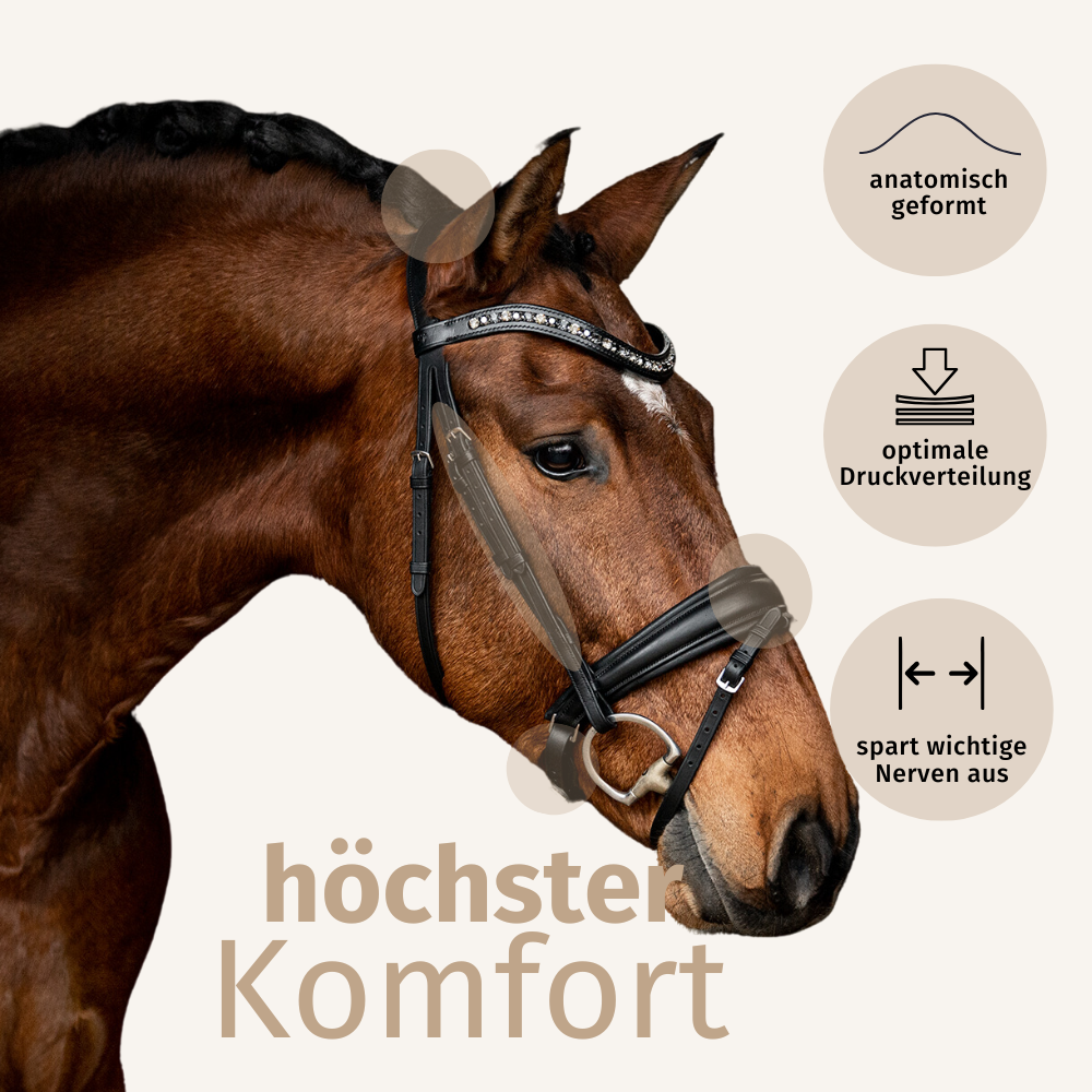 Trensenzaum Rosano mit Wunschstirnriemen