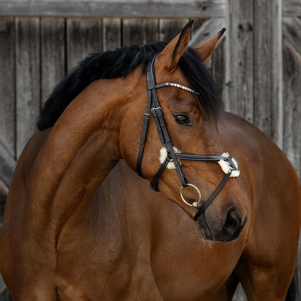 Trensenzaum Bari mit Wunschstirnriemen