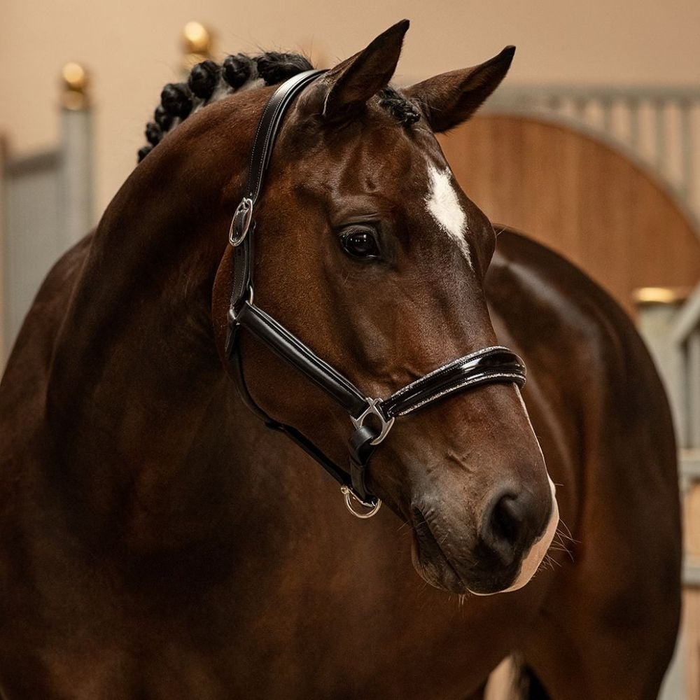 Halfter Messina Lackleder Glitter