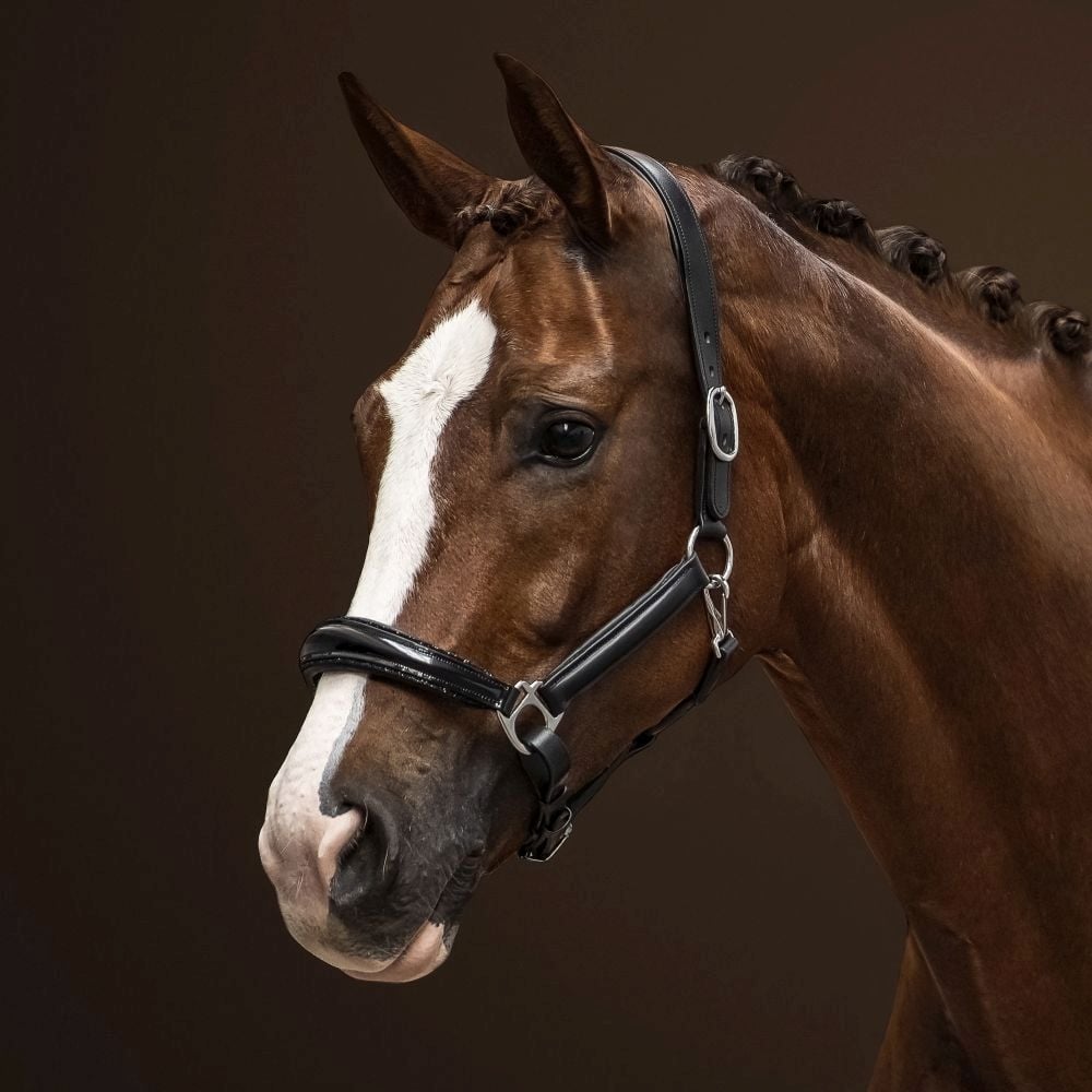 Halfter Messina Lackleder Glitter