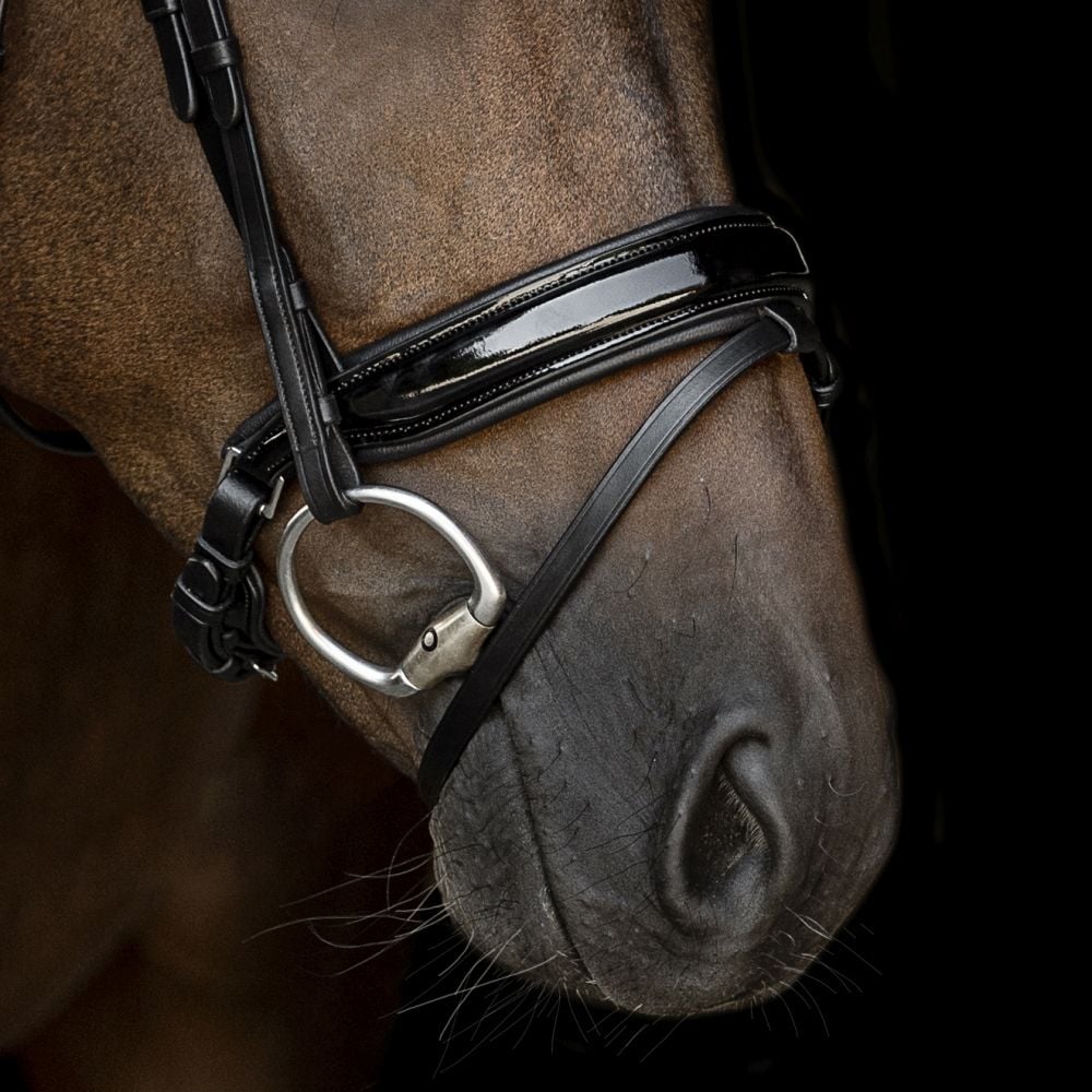 Trensenzaum Ravenna mit Wunschstirnriemen