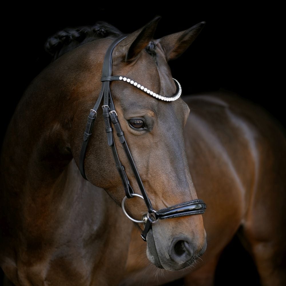 Trensenzaum Catania Glitter mit Wunschstirnriemen