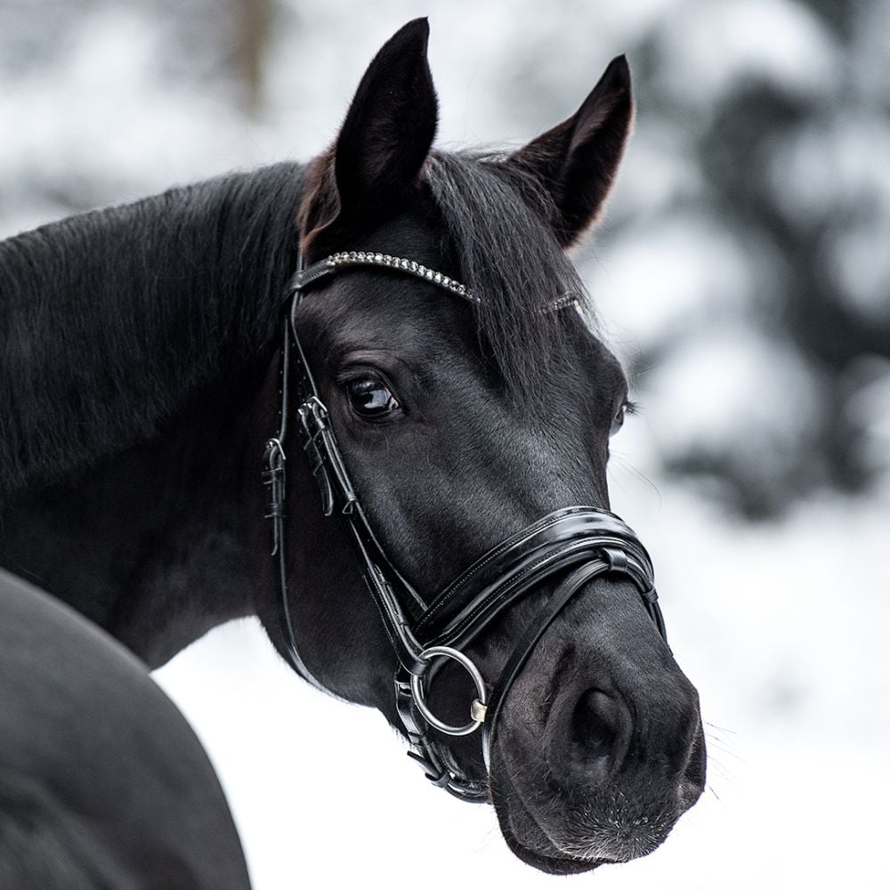 Stirnriemen Jet Hematite Extra Slim