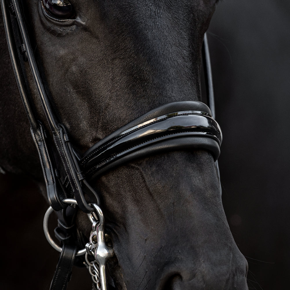 Kandarenzaum Viadana mit Wunschstirnriemen
