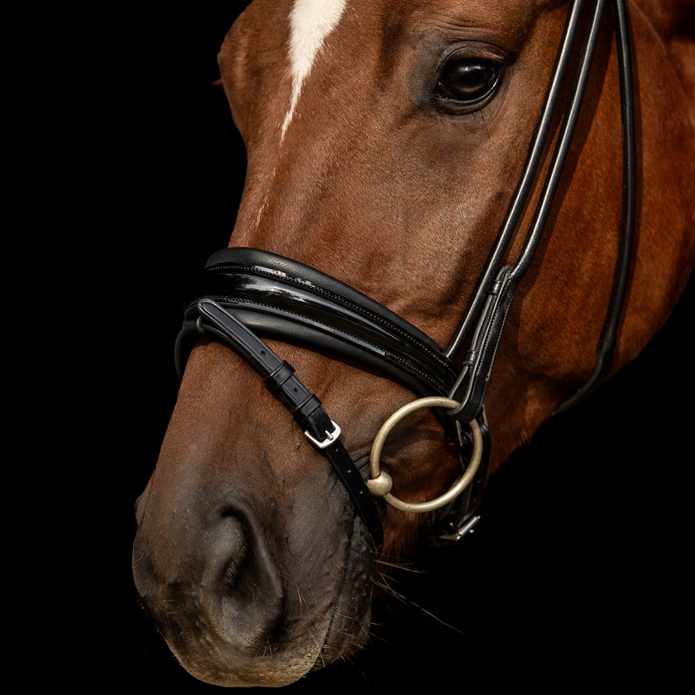 Trensenzaum Viadana mit Wunschstirnriemen