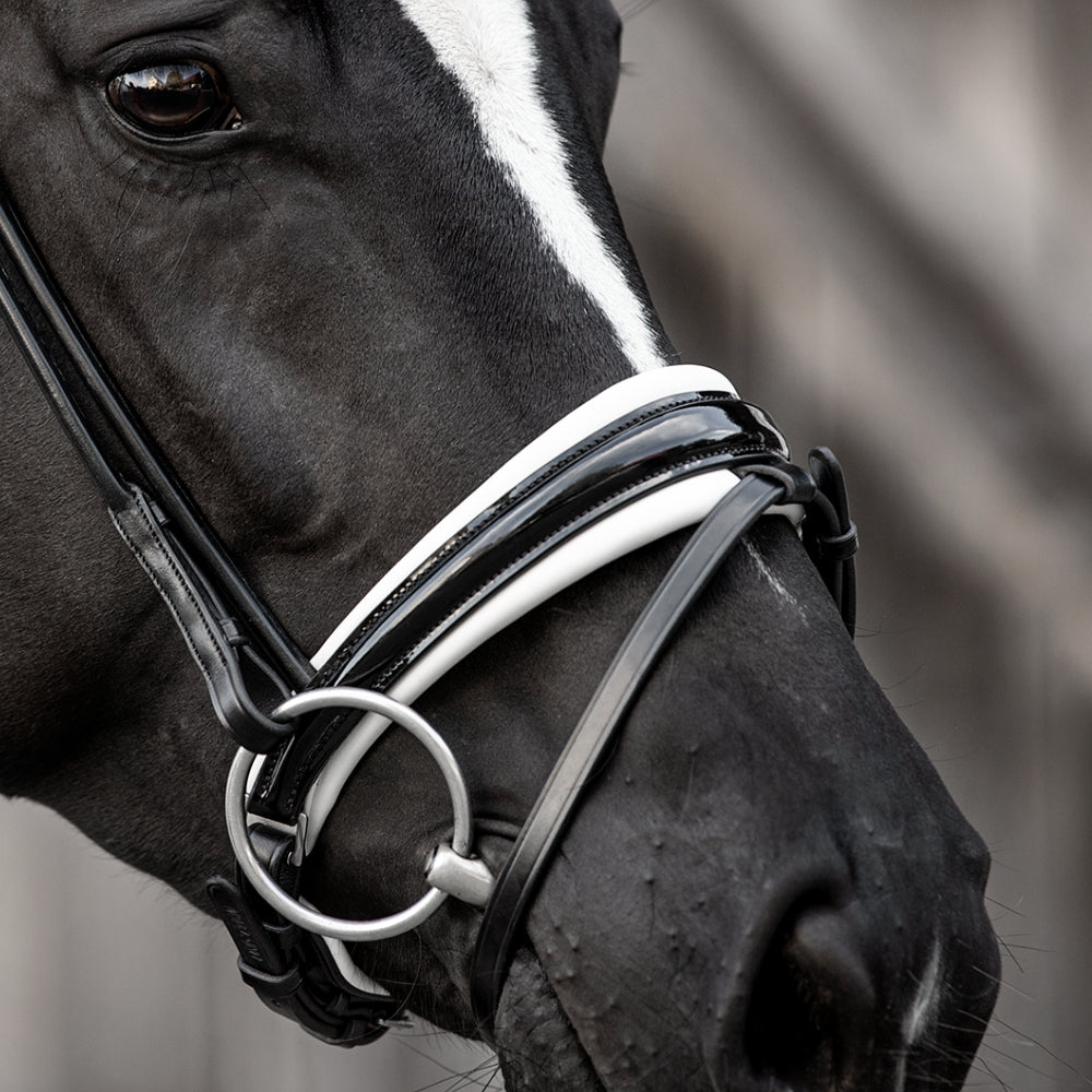 Trensenzaum Viadana mit Wunschstirnriemen