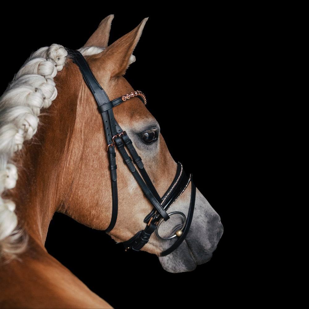 Trensenzaum Roségold Edition + Gurtzügel + GRATIS Dust Bag