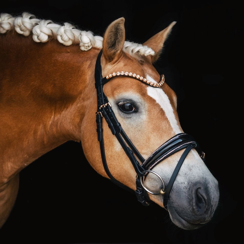 Trensenzaum Roségold Edition + Gurtzügel + GRATIS Dust Bag