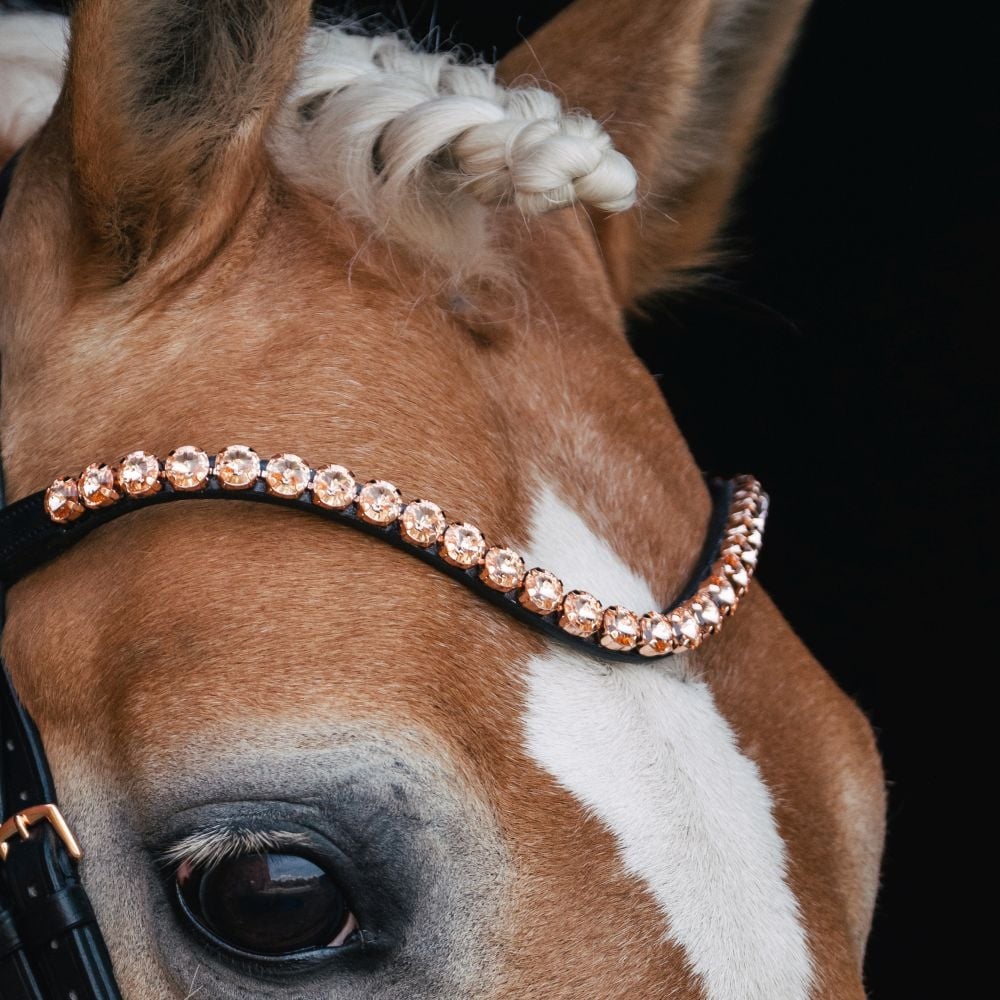 Trensenzaum Roségold Edition + Gurtzügel + GRATIS Dust Bag