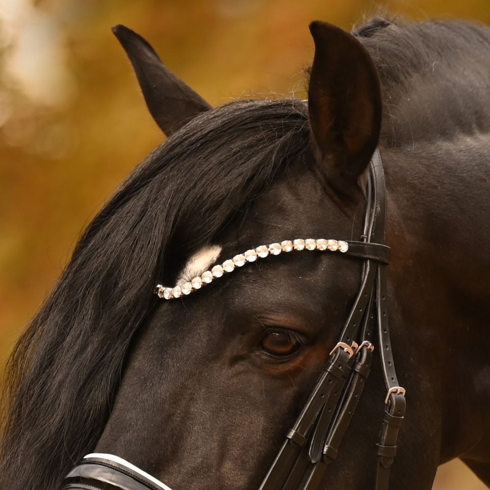 Customize Yourself - Stirnriemen Slim Rivoli XL