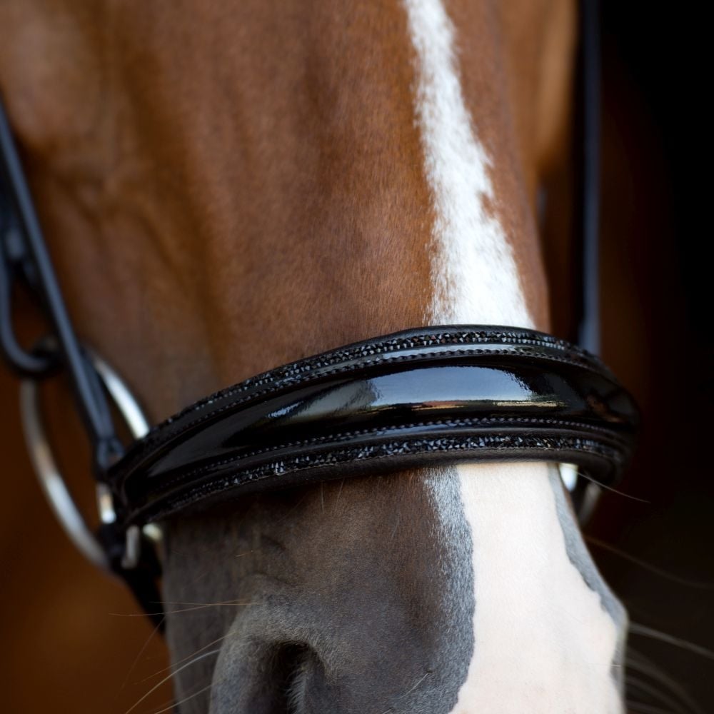 Reithalfter Trensenzaum Catania Glitter