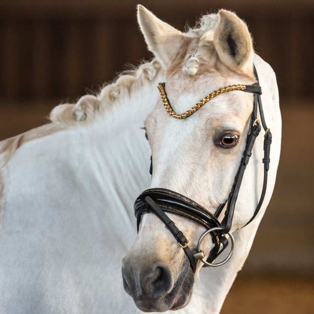 Trensenzaum Gold Edition + Gurtzügel + GRATIS Dust Bag