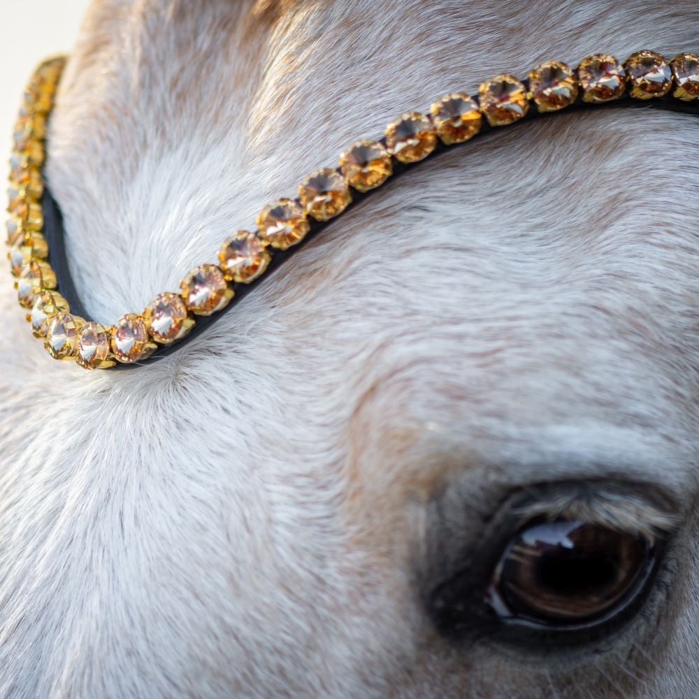 Trensenzaum Gold Edition + Gurtzügel + GRATIS Dust Bag