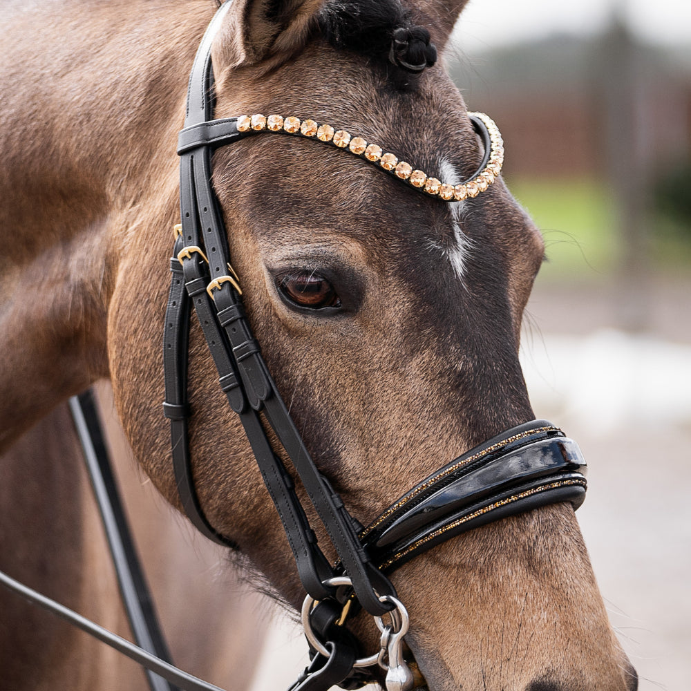 Kandarenzaum Gold Edition + Kandarenzügel + GRATIS Dust Bag
