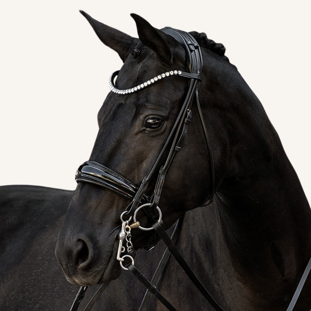 Kandarenzaum Vittoria Glitter mit Wunschstirnriemen