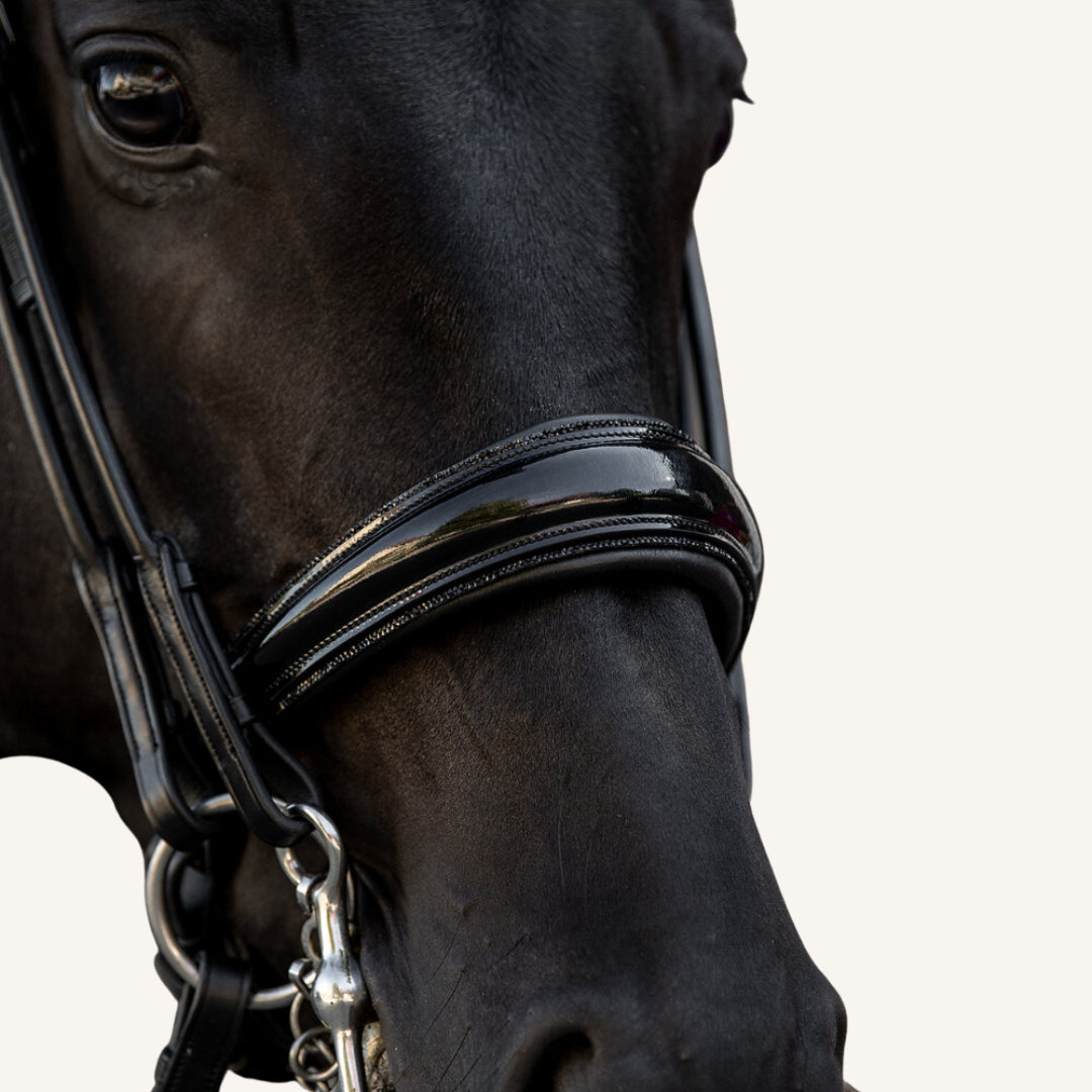 Kandarenzaum Vittoria Glitter mit Wunschstirnriemen