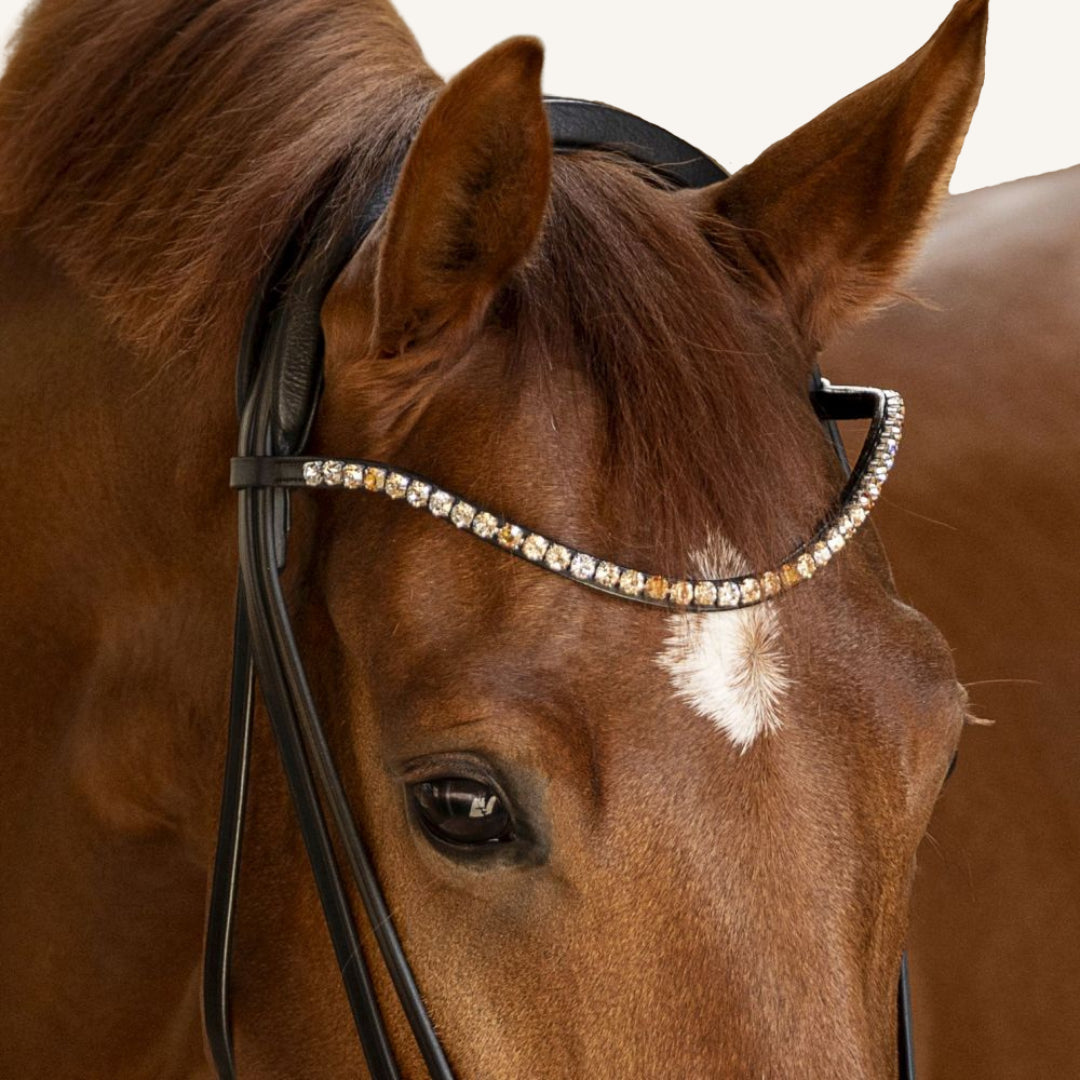 Trensenzaum Vicenza mit Wunschstirnriemen