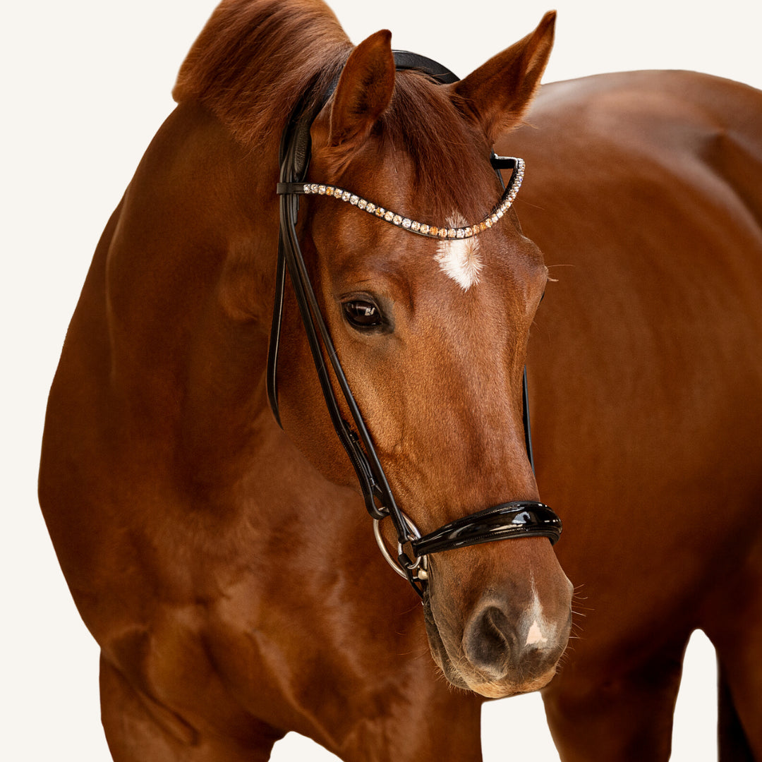 Trensenzaum Vicenza mit Wunschstirnriemen