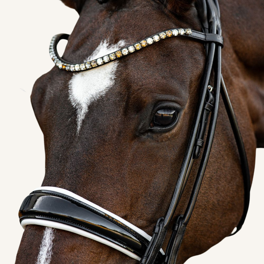 Kandarenzaum Vittoria mit Wunschstirnriemen