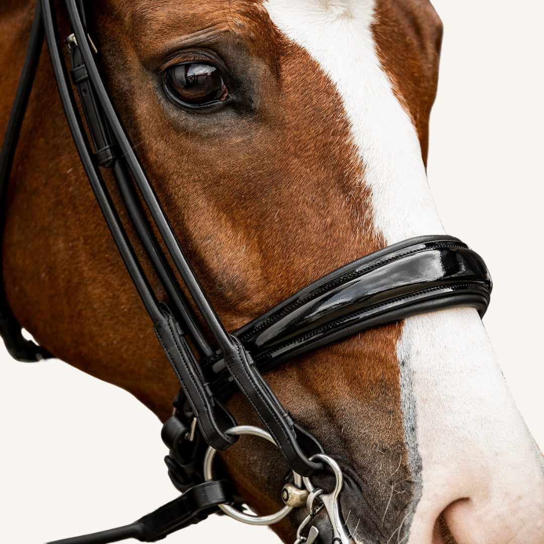 Kandarenzaum Vittoria mit Wunschstirnriemen