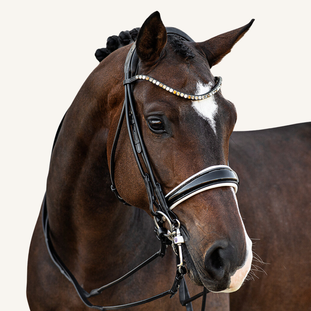 Kandarenzaum Vittoria mit Wunschstirnriemen