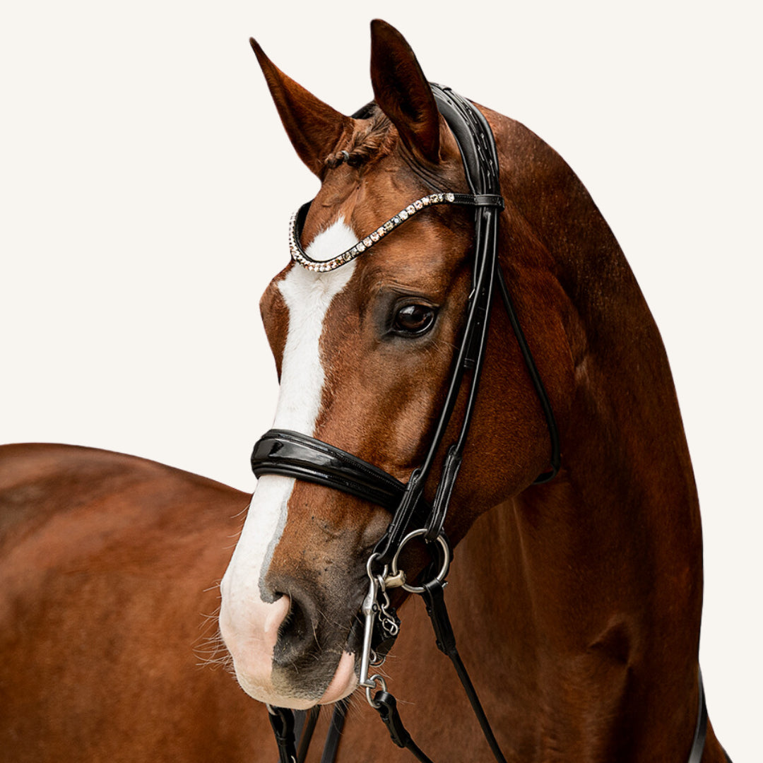 Kandarenzaum Vittoria mit Wunschstirnriemen