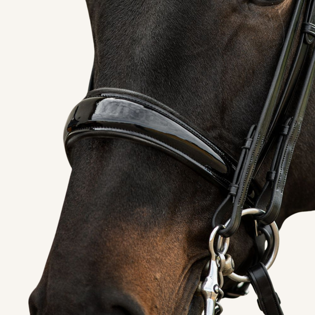 Kandarenzaum Volterra mit Wunschstirnriemen