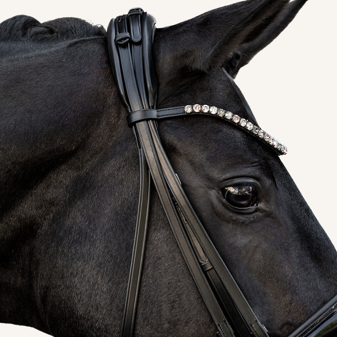 Kandarenzaum Volterra mit Wunschstirnriemen