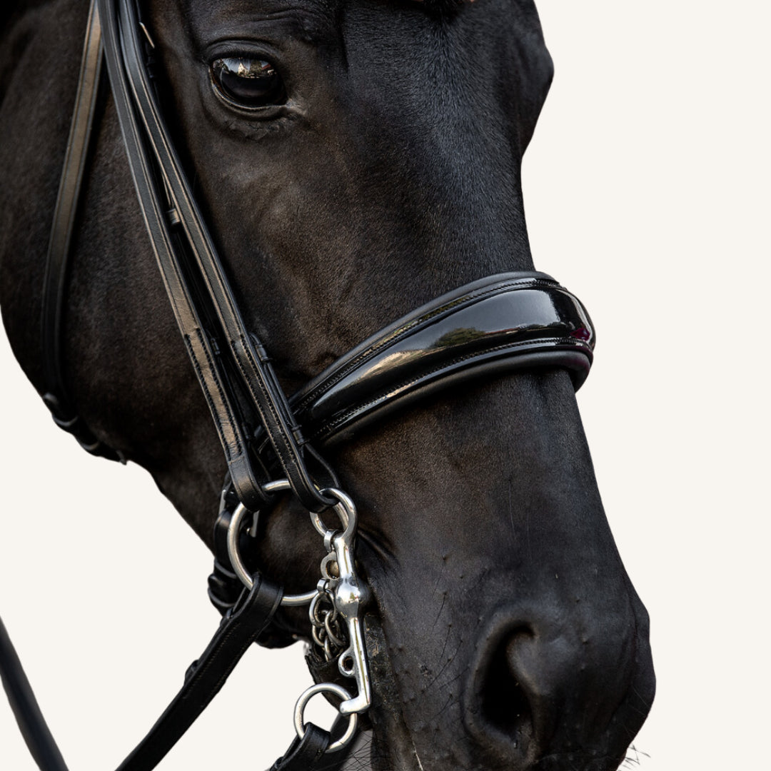 Kandarenzaum Volterra mit Wunschstirnriemen